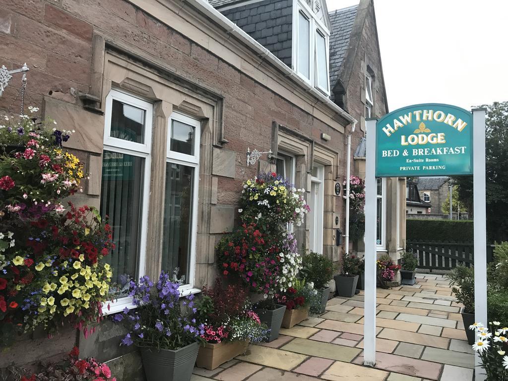 Hawthorn Lodge Guest House Ίνβερνες Εξωτερικό φωτογραφία